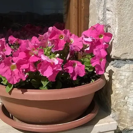 Bed & Breakfast Erson Hocanin Organik Ciftligi Ammadhies
