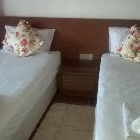Erson Hocanin Organik Ciftligi Bed & Breakfast Ammadhies